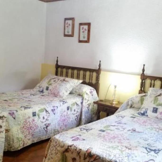 Casa Rural Barangua En El Pirineo Aragones Santa Cruz de la Serós Exteriör bild