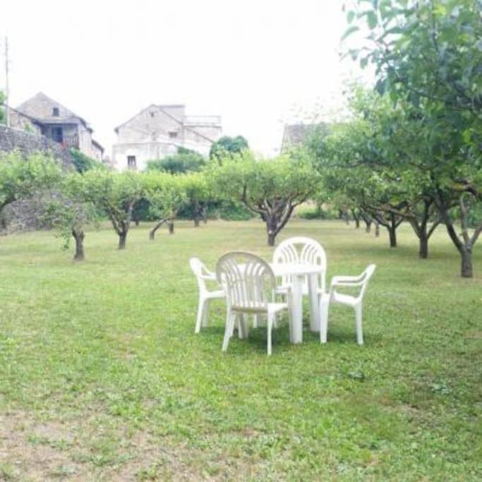 Casa Rural Barangua En El Pirineo Aragones Santa Cruz de la Serós Exteriör bild